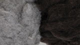 Banner Yakwolle